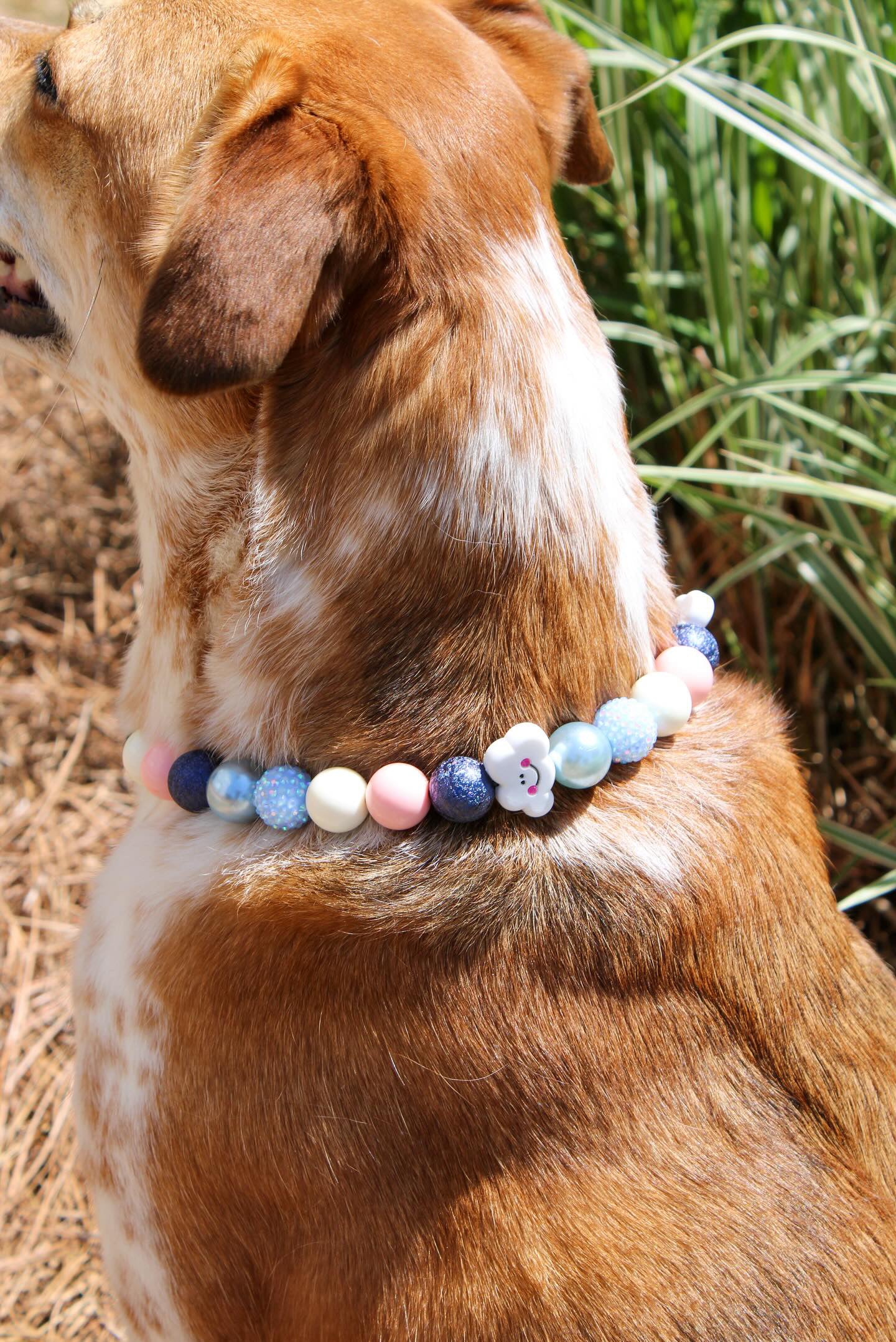 Head in the Clouds Collar