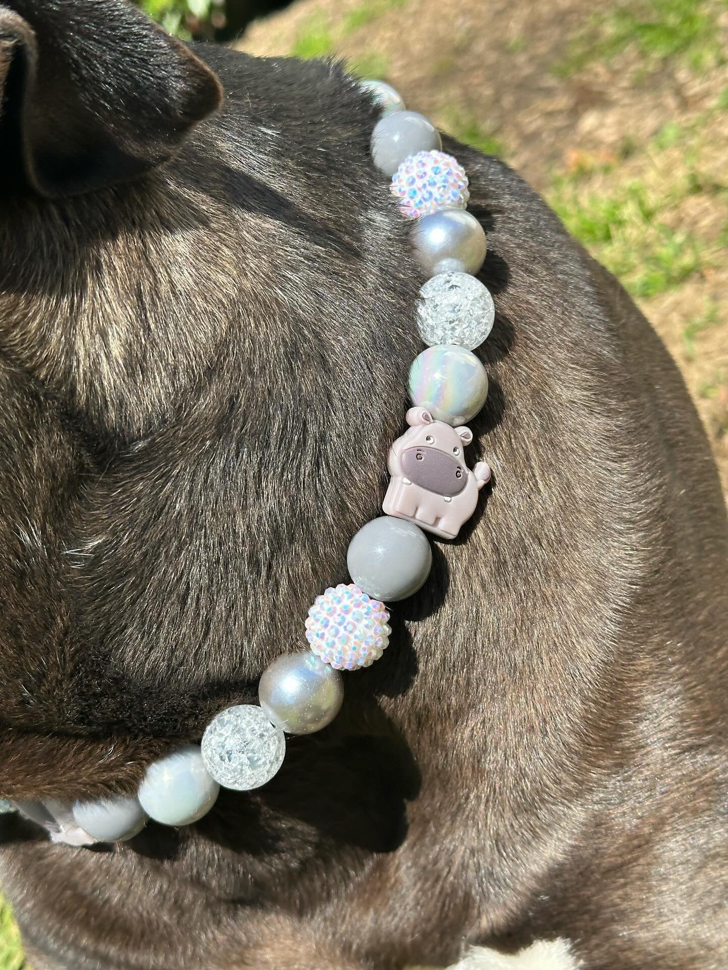 House Hippo Collar