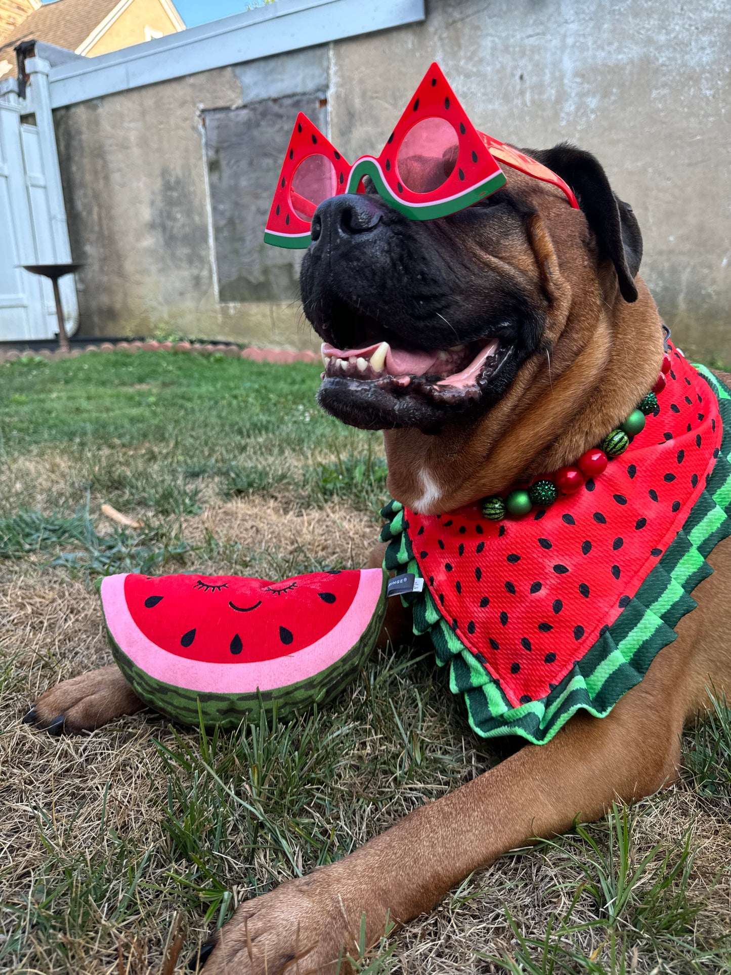 Watermelon Summer