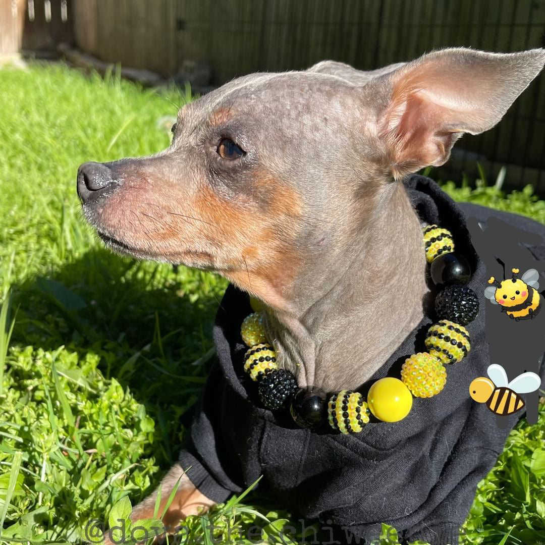 Bee Happy Collar