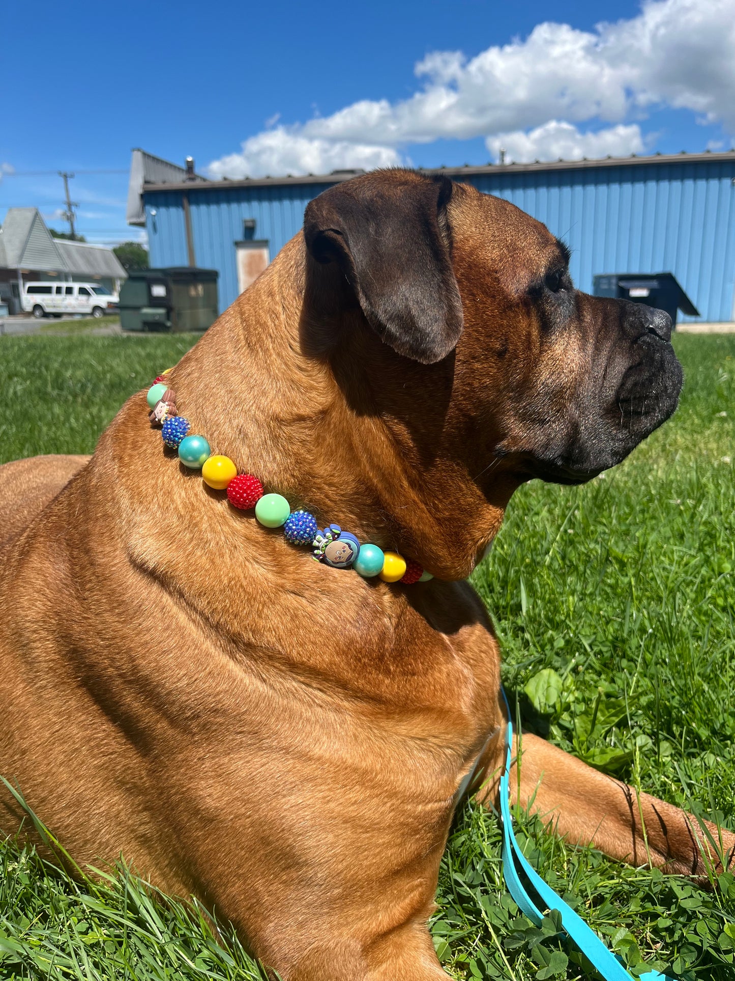 To Infinity and Beyond Collar