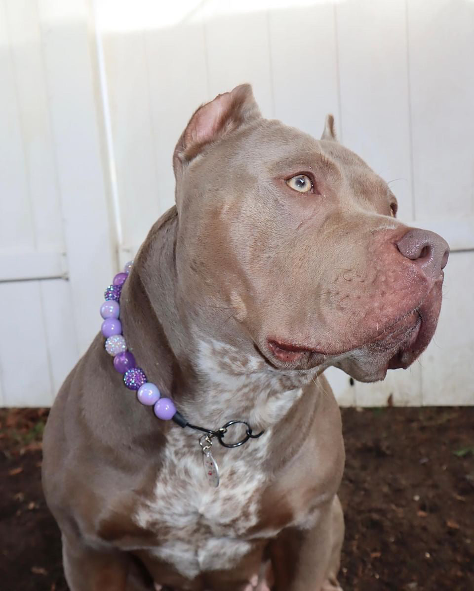 Purple Rain Collar