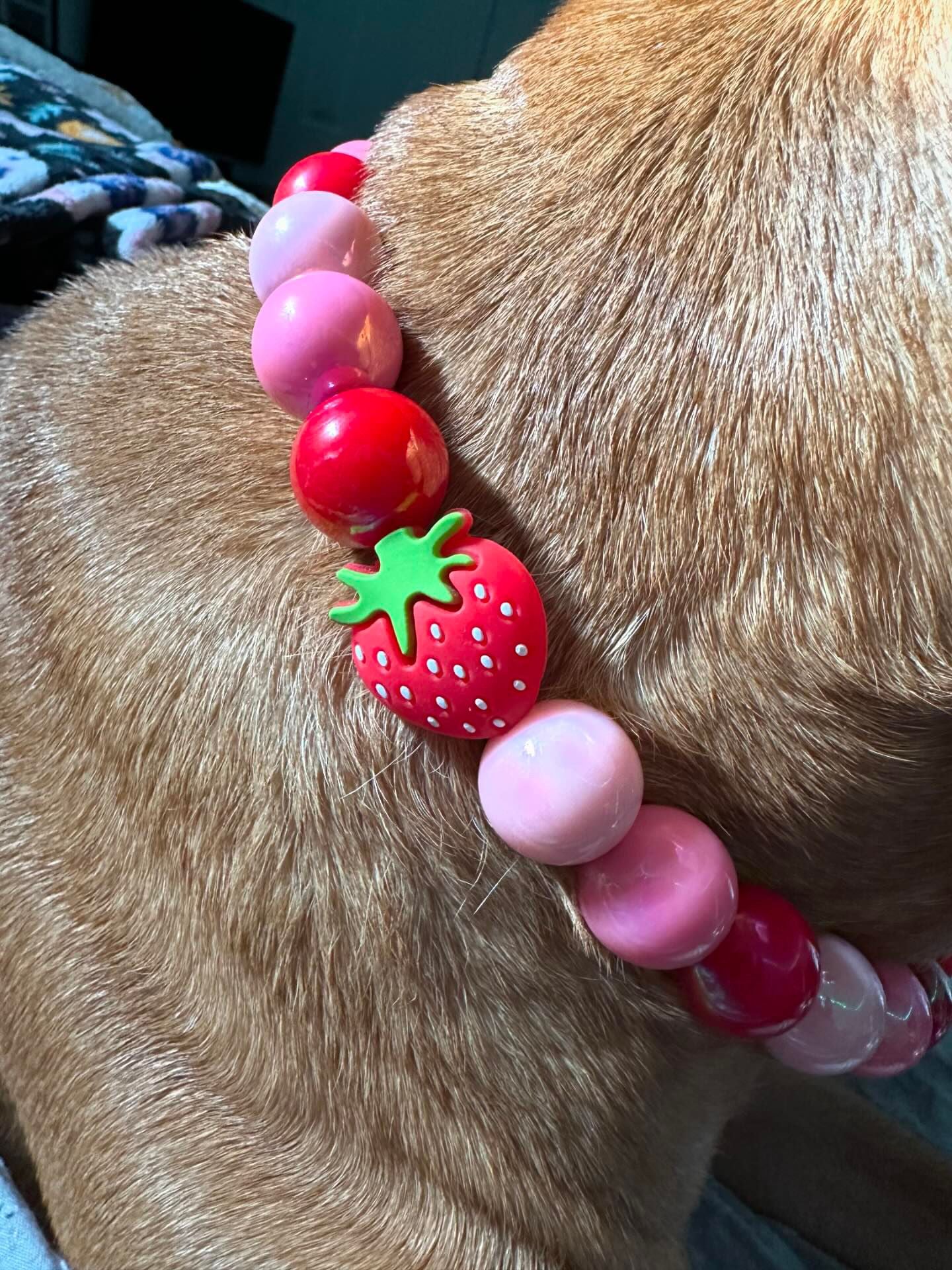 So Berry Sweet Collar