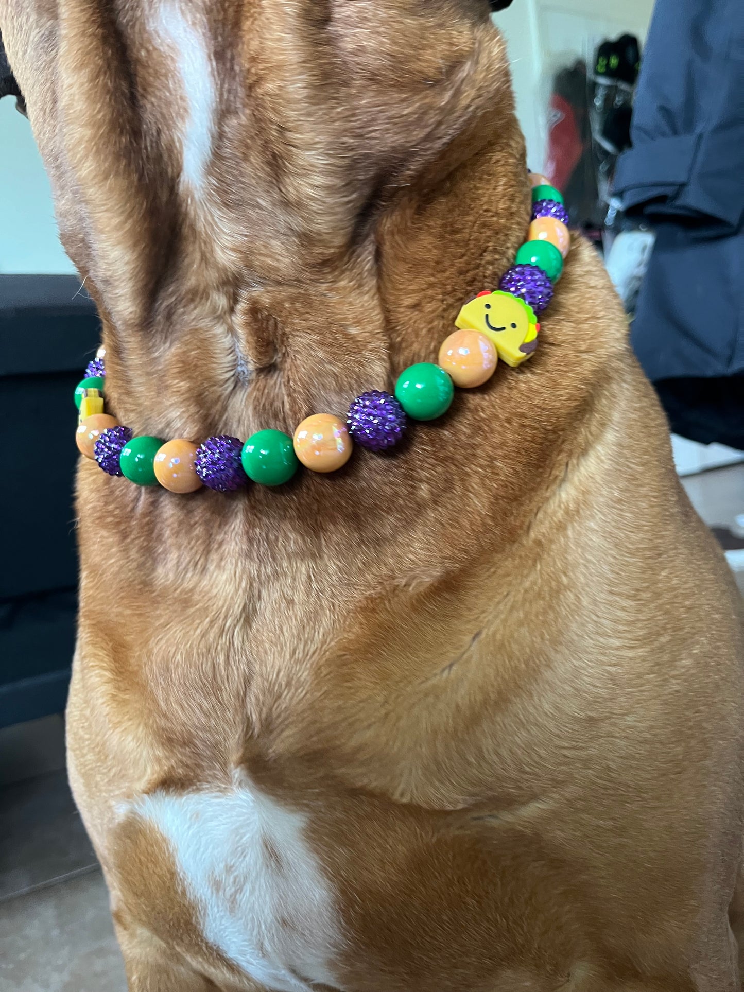 Taco Tuesday Collar