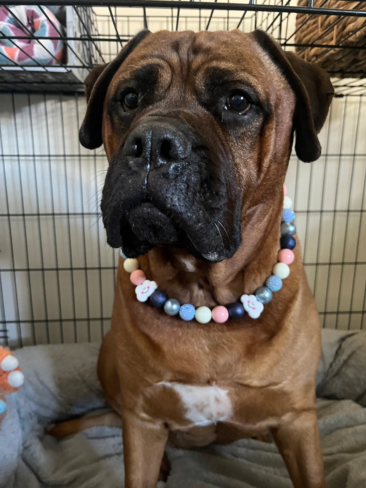 Head in the Clouds Collar